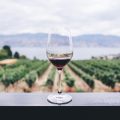 verre-vin-rouge-domaine-viticole
