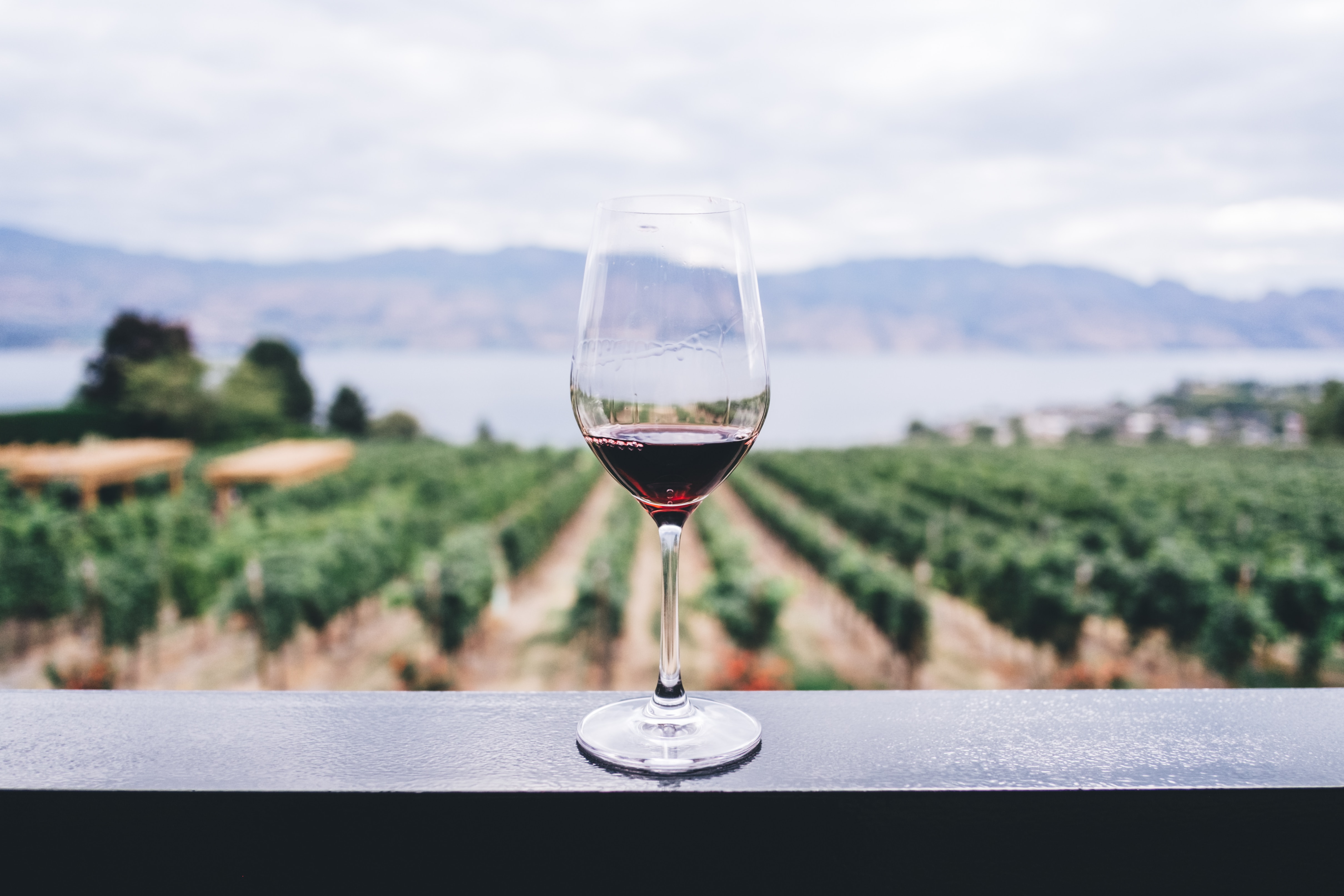 Goûter aux saveurs du terroir grâce aux vins biodynamiques
