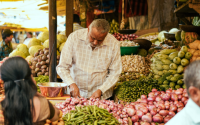 Grossiste alimentaire et gestion de distribution : tout ce qu’il faut savoir