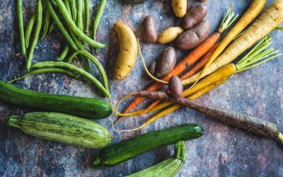 Ne gâcher plus votre nourriture congeler vos fruits et légumes!