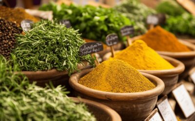 Comment choisir le meilleur grossiste en herboristerie d’herbes aromatiques et epices pour vos besoins